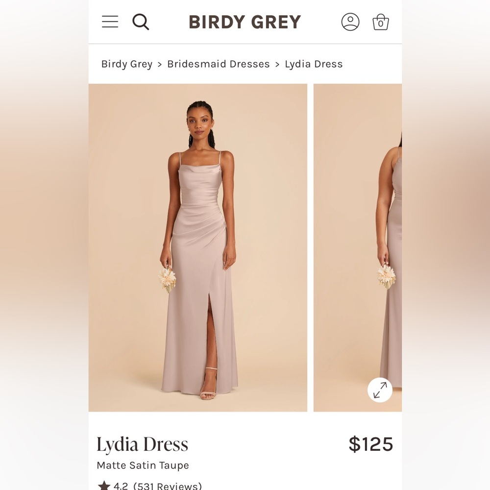 Birdy Grey Taupe Matte Satin dress